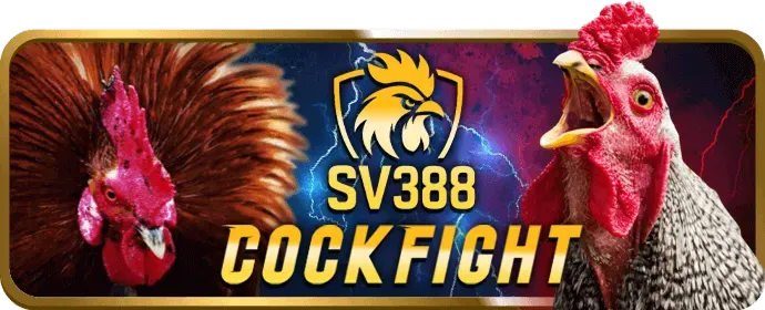 Biểu tượng tài khoản người dùng được bảo mật tại 1888b win
